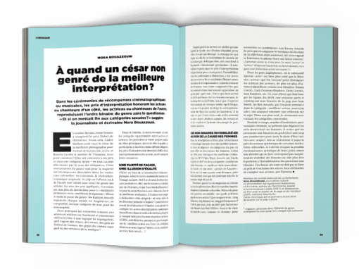 mock-up chronique « À Quand un césar non genré de la meilleure interprétation ? » LA Déferlante 9